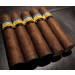 Charuto Cohiba Maduro 5 Mágicos - Charutaria e Tabacaria Galvão